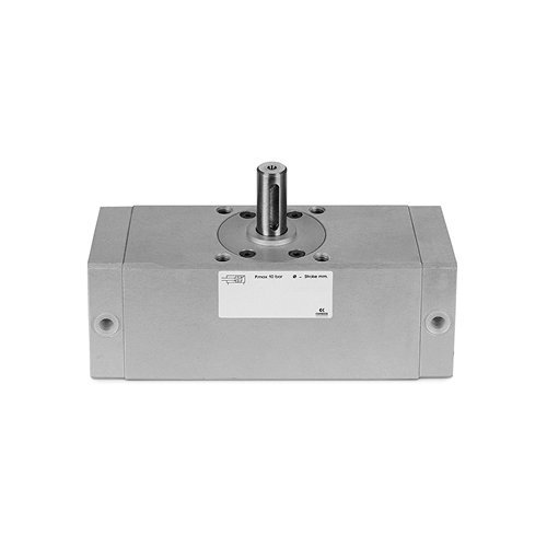 Пневмоцилиндр Camozzi 30, ⌀ 100мм [действие двустороннее]